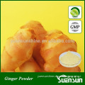 Best Quality Benefits Of Ginger Powder